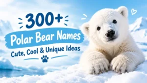 Polar Bear Names: Cute, Cool & Unique Ideas