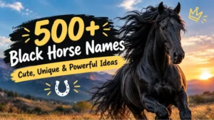 Black Horse Names: Cute, Unique & Powerful Ideas