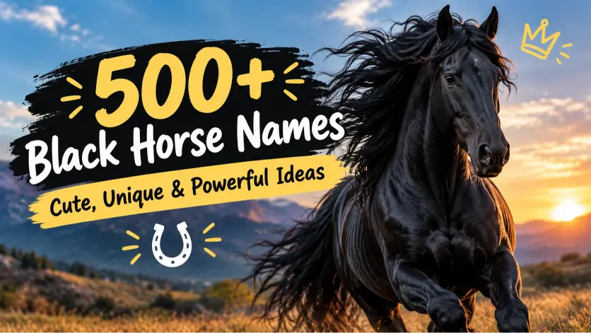 Black Horse Names: Cute, Unique & Powerful Ideas