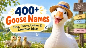 Goose Names: Cute, Funny, Unique & Creative Ideas