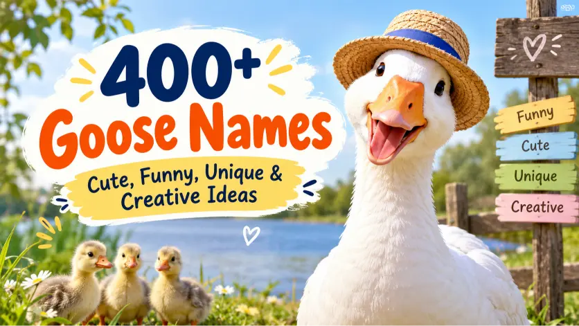 Goose Names: Cute, Funny, Unique & Creative Ideas