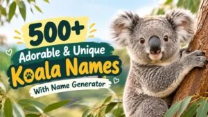 Adorable & Unique Koala Names With Name Generator