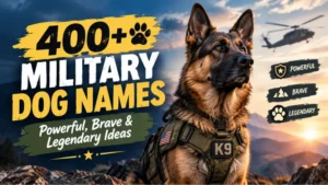 Military Dog Names: Powerful, Brave & Legendary Ideas