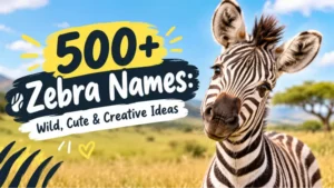 Zebra Names: Wild, Cute & Creative Ideas